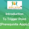 introduction-to-trigger-point