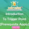 introduction to trigger point Prerequisite Apply